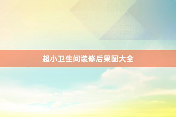 超小卫生间装修后果图大全