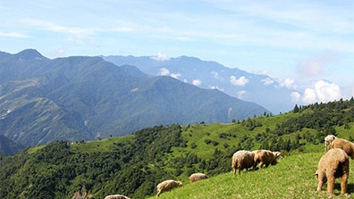 农业休闲景观设计要抓住哪些重点