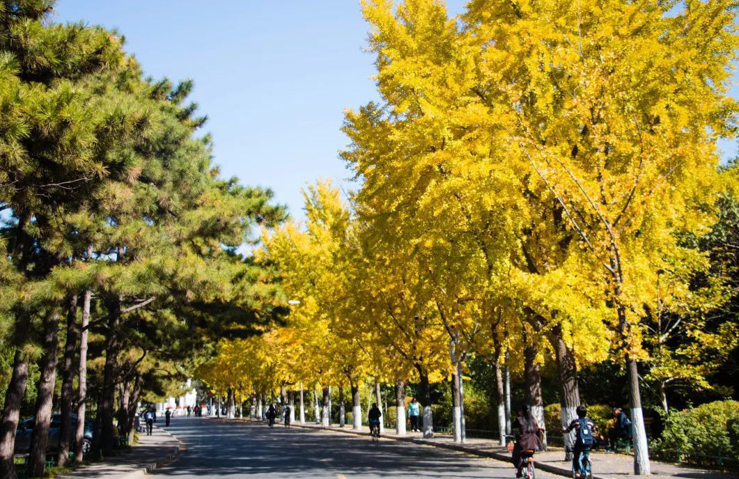 学校园林景观设计图片