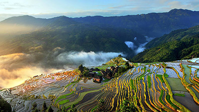 乡村旅游景观设计的重要性与原则